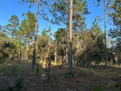 WOODSY BUILDING LOT NEAR OLD WILLISTON HIGHLANDS GOLF COURSE! A on Williston Highlands Golf and Country Club in Florida - for sale on GolfHomes.com, golf home, golf lot
