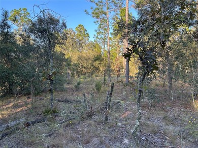 WOODSY BUILDING LOT NEAR OLD WILLISTON HIGHLANDS GOLF COURSE! A on Williston Highlands Golf and Country Club in Florida - for sale on GolfHomes.com, golf home, golf lot