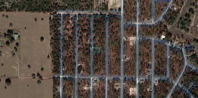 WOODSY BUILDING LOT NEAR OLD WILLISTON HIGHLANDS GOLF COURSE! A on Williston Highlands Golf and Country Club in Florida - for sale on GolfHomes.com, golf home, golf lot