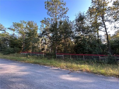 FENCED WOODED HOMESITE ON PAVED ROAD!
Beautiful  1/4  acre on Williston Highlands Golf and Country Club in Florida - for sale on GolfHomes.com, golf home, golf lot