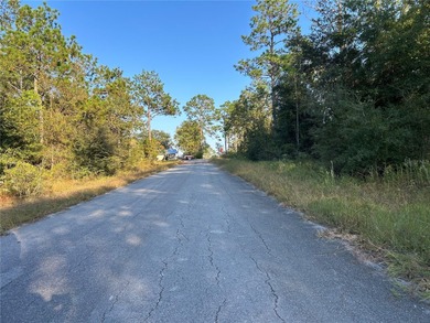 FENCED WOODED HOMESITE ON PAVED ROAD!
Beautiful  1/4  acre on Williston Highlands Golf and Country Club in Florida - for sale on GolfHomes.com, golf home, golf lot