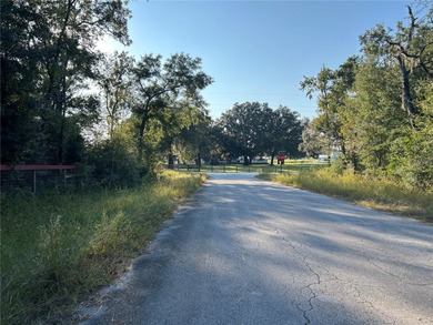 FENCED WOODED HOMESITE ON PAVED ROAD!
Beautiful  1/4  acre on Williston Highlands Golf and Country Club in Florida - for sale on GolfHomes.com, golf home, golf lot