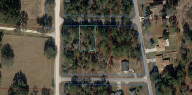 FENCED WOODED HOMESITE ON PAVED ROAD!
Beautiful  1/4  acre on Williston Highlands Golf and Country Club in Florida - for sale on GolfHomes.com, golf home, golf lot