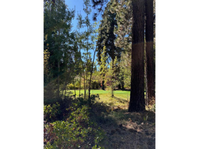 Flat, buildable lot on Brockway Golf Course. Tiny peeks of lake on Old Brockway Golf Club in California - for sale on GolfHomes.com, golf home, golf lot