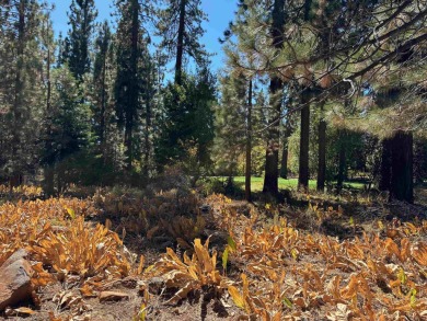 Flat, buildable lot on Brockway Golf Course. Tiny peeks of lake on Old Brockway Golf Club in California - for sale on GolfHomes.com, golf home, golf lot