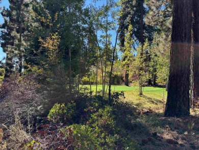 Flat, buildable lot on Brockway Golf Course. Tiny peeks of lake on Old Brockway Golf Club in California - for sale on GolfHomes.com, golf home, golf lot
