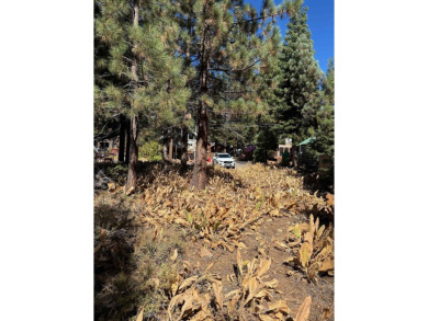 Flat, buildable lot on Brockway Golf Course. Tiny peeks of lake on Old Brockway Golf Club in California - for sale on GolfHomes.com, golf home, golf lot