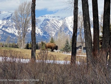 Not your typical Jackson Hole Golf and Tennis cabin! This unique on Jackson Hole Golf and Tennis Club in Wyoming - for sale on GolfHomes.com, golf home, golf lot
