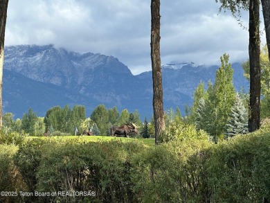 Not your typical Jackson Hole Golf and Tennis cabin! This unique on Jackson Hole Golf and Tennis Club in Wyoming - for sale on GolfHomes.com, golf home, golf lot