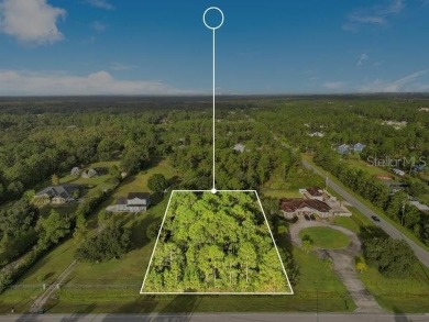 This property at 2.17 acres of 150 x 630 homesite has already on Wedgefield Golf Club in Florida - for sale on GolfHomes.com, golf home, golf lot