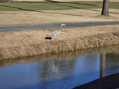 Welcome to 270 Connemara Dr Unit C, a rare gem in the highly on World Tour Golf Links in South Carolina - for sale on GolfHomes.com, golf home, golf lot