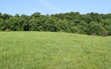 GOLF COURSE FRONT LOT IN GATED GOLF COURSE COMMUNITY IN THE on Chatuge Shores Golf Course in North Carolina - for sale on GolfHomes.com, golf home, golf lot