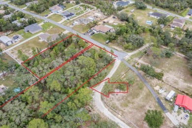 Opportunity awaits with this high and dry, oversized .1 Acre lot on Dunes Golf Club in Florida - for sale on GolfHomes.com, golf home, golf lot
