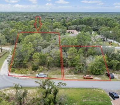 Opportunity awaits with this high and dry, oversized .1 Acre lot on Dunes Golf Club in Florida - for sale on GolfHomes.com, golf home, golf lot