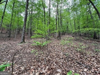 Building Lot in Big Canoe - Priced to Sell! Here's your chance on Big Canoe Golf Club - Cherokee in Georgia - for sale on GolfHomes.com, golf home, golf lot
