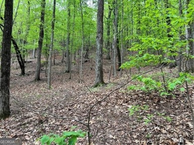 Building Lot in Big Canoe - Priced to Sell! Here's your chance on Big Canoe Golf Club - Cherokee in Georgia - for sale on GolfHomes.com, golf home, golf lot