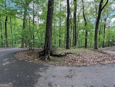 Building Lot in Big Canoe - Priced to Sell! Here's your chance on Big Canoe Golf Club - Cherokee in Georgia - for sale on GolfHomes.com, golf home, golf lot