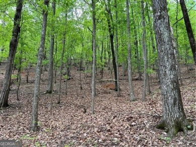 Building Lot in Big Canoe - Priced to Sell! Here's your chance on Big Canoe Golf Club - Cherokee in Georgia - for sale on GolfHomes.com, golf home, golf lot