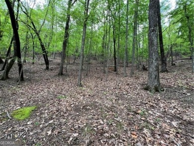 Building Lot in Big Canoe - Priced to Sell! Here's your chance on Big Canoe Golf Club - Cherokee in Georgia - for sale on GolfHomes.com, golf home, golf lot