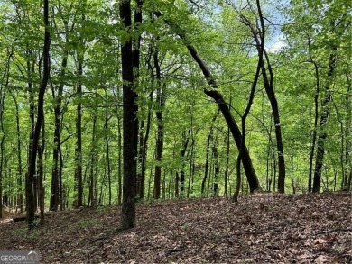 Buildable Lot in Beautiful Big Canoe - Priced to Sell! Here's on Big Canoe Golf Club - Cherokee in Georgia - for sale on GolfHomes.com, golf home, golf lot