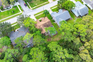 GORGEOUS 3 BEDROOM - 2 BATH - 2 CAR GARAGE POOL HOME AT THE on Tarpon Woods Golf Club in Florida - for sale on GolfHomes.com, golf home, golf lot
