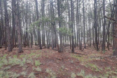 Discover your dream homesite with this beautiful 1/2 acre treed on Angel Fire Resort Country Club in New Mexico - for sale on GolfHomes.com, golf home, golf lot