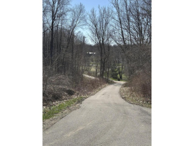 Take a look at the amazing views offered with this newly split on Gleneagle Golf Club in Michigan - for sale on GolfHomes.com, golf home, golf lot