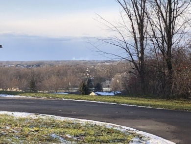 Take a look at the amazing views offered with this newly split on Gleneagle Golf Club in Michigan - for sale on GolfHomes.com, golf home, golf lot