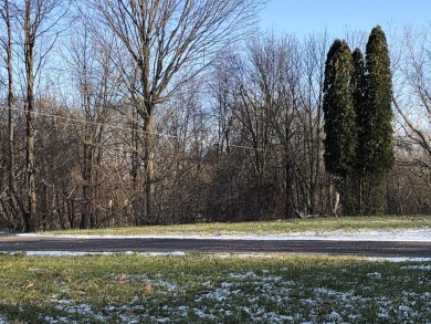 Take a look at the amazing views offered with this newly split on Gleneagle Golf Club in Michigan - for sale on GolfHomes.com, golf home, golf lot