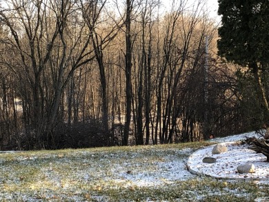 Take a look at the amazing views offered with this newly split on Gleneagle Golf Club in Michigan - for sale on GolfHomes.com, golf home, golf lot