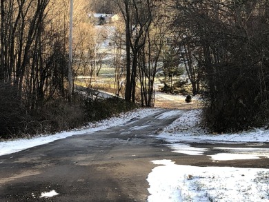 Take a look at the amazing views offered with this newly split on Gleneagle Golf Club in Michigan - for sale on GolfHomes.com, golf home, golf lot