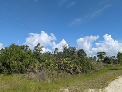 Come build your forever home on this one-half acre lot that on Indian Lake Estates Golf and Country Club in Florida - for sale on GolfHomes.com, golf home, golf lot