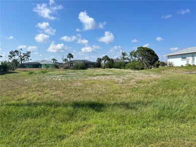 Imagine building your dream home on a premium 10,000 sqft on Rotonda Golf and Country Club The Palms Course in Florida - for sale on GolfHomes.com, golf home, golf lot