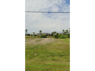 Imagine building your dream home on a premium 10,000 sqft on Rotonda Golf and Country Club The Palms Course in Florida - for sale on GolfHomes.com, golf home, golf lot