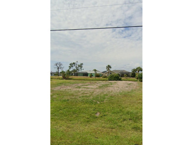 Imagine building your dream home on a premium 10,000 sqft on Rotonda Golf and Country Club The Palms Course in Florida - for sale on GolfHomes.com, golf home, golf lot