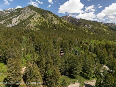 Serene Wooded Lot on Cedar Drive - Star Valley Ranch, WY. This on Star Valley RV Golf Course in Wyoming - for sale on GolfHomes.com, golf home, golf lot