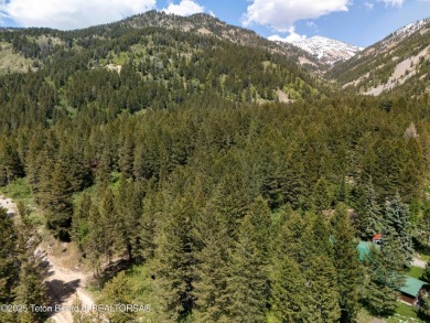 Serene Wooded Lot on Cedar Drive - Star Valley Ranch, WY. This on Star Valley RV Golf Course in Wyoming - for sale on GolfHomes.com, golf home, golf lot