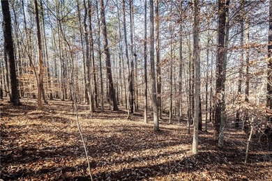 Welcome to Hawks Ridge, one of the most exclusive and on Hawks Ridge Golf Club in Georgia - for sale on GolfHomes.com, golf home, golf lot
