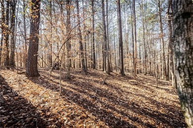 Welcome to Hawks Ridge, one of the most exclusive and on Hawks Ridge Golf Club in Georgia - for sale on GolfHomes.com, golf home, golf lot