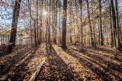 Welcome to Hawks Ridge, one of the most exclusive and on Hawks Ridge Golf Club in Georgia - for sale on GolfHomes.com, golf home, golf lot