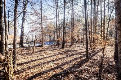 Welcome to Hawks Ridge, one of the most exclusive and on Hawks Ridge Golf Club in Georgia - for sale on GolfHomes.com, golf home, golf lot