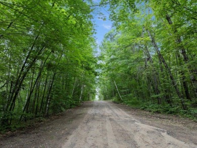Perfect opportunity for you to build your forever home or cabin on Breezy Point Golf Course Resort in Minnesota - for sale on GolfHomes.com, golf home, golf lot