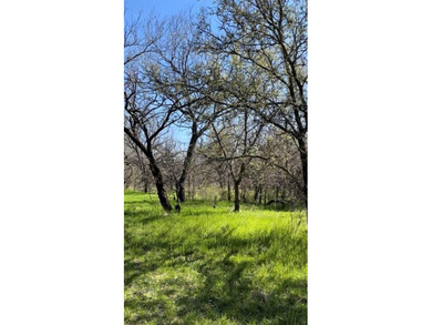 Beautiful wooded lot located in Runaway Bay, no HOA, minutes on The Club At Runaway Bay in Texas - for sale on GolfHomes.com, golf home, golf lot