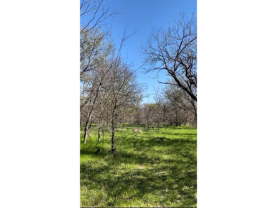 Beautiful wooded lot located in Runaway Bay, no HOA, minutes on The Club At Runaway Bay in Texas - for sale on GolfHomes.com, golf home, golf lot