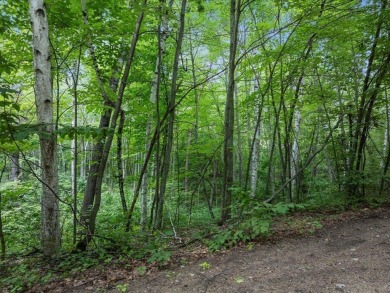Perfect opportunity for you to build your forever home or cabin on Breezy Point Golf Course Resort in Minnesota - for sale on GolfHomes.com, golf home, golf lot