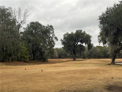 Check out the Gorgeous Golf Views from this half-acre homesite on Sapelo Hammock Golf Club in Georgia - for sale on GolfHomes.com, golf home, golf lot