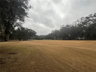 Check out the Gorgeous Golf Views from this half-acre homesite on Sapelo Hammock Golf Club in Georgia - for sale on GolfHomes.com, golf home, golf lot