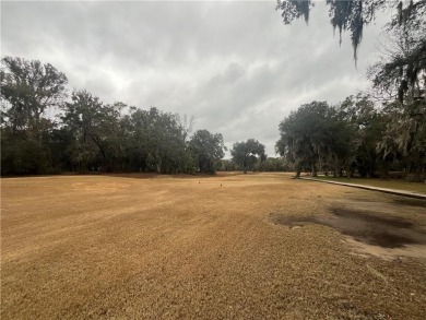 Check out the Gorgeous Golf Views from this half-acre homesite on Sapelo Hammock Golf Club in Georgia - for sale on GolfHomes.com, golf home, golf lot