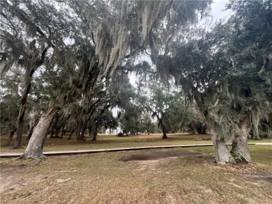 Check out the Gorgeous Golf Views from this half-acre homesite on Sapelo Hammock Golf Club in Georgia - for sale on GolfHomes.com, golf home, golf lot