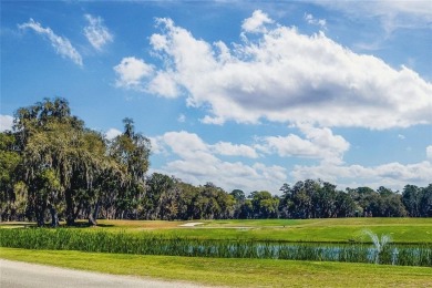 Check out the Gorgeous Golf Views from this half-acre homesite on Sapelo Hammock Golf Club in Georgia - for sale on GolfHomes.com, golf home, golf lot